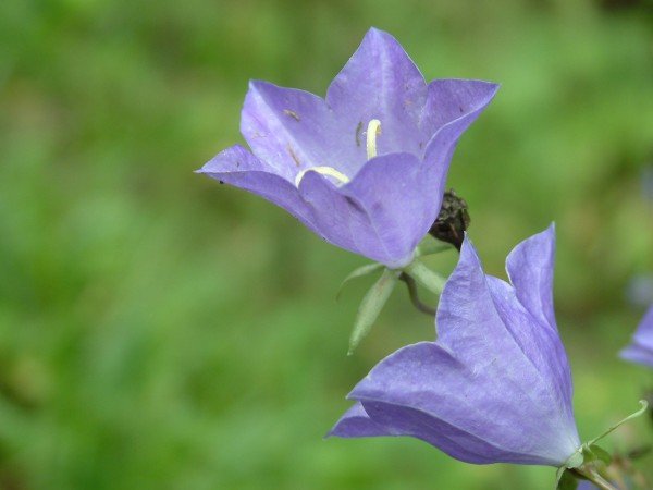 DSCF0959