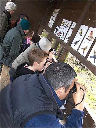 birdwatching_315x420_bbc_co_uk