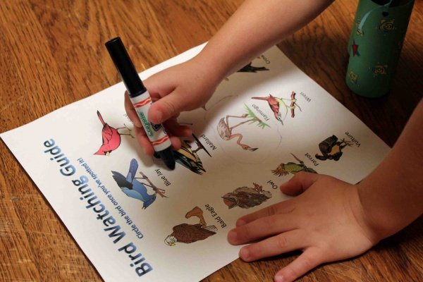 circling-birds_prudentbaby_com