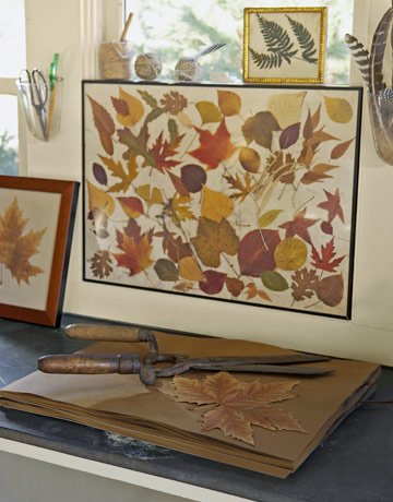 leaf-collage-1108-de-66020742