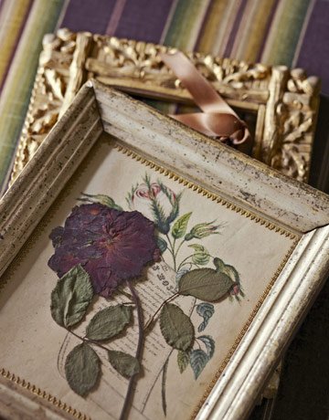 rose-1108-de-28415051