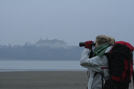 Tatai_Vadlud_Sokadalom_2008_Orban_Zoltan_0034