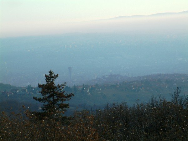 DSCF1520