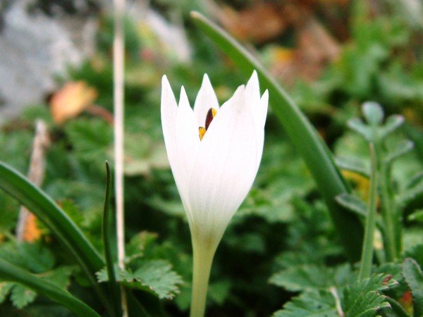 DSCF1354